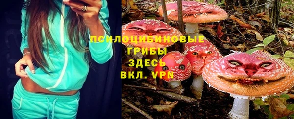 PSILOCYBIN Алексеевка