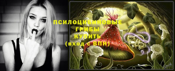 ALPHA PVP Алексин